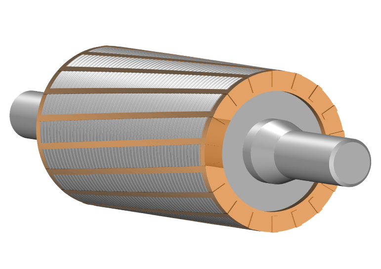Electric motor rotor with magnets